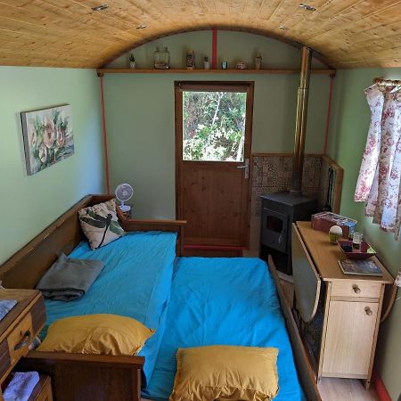 Rosa The Cosy Cabin - Gypsy Wagon - Shepherds Hut, River Views Off-Grid Eco Living Pedrogao Grande Exterior photo