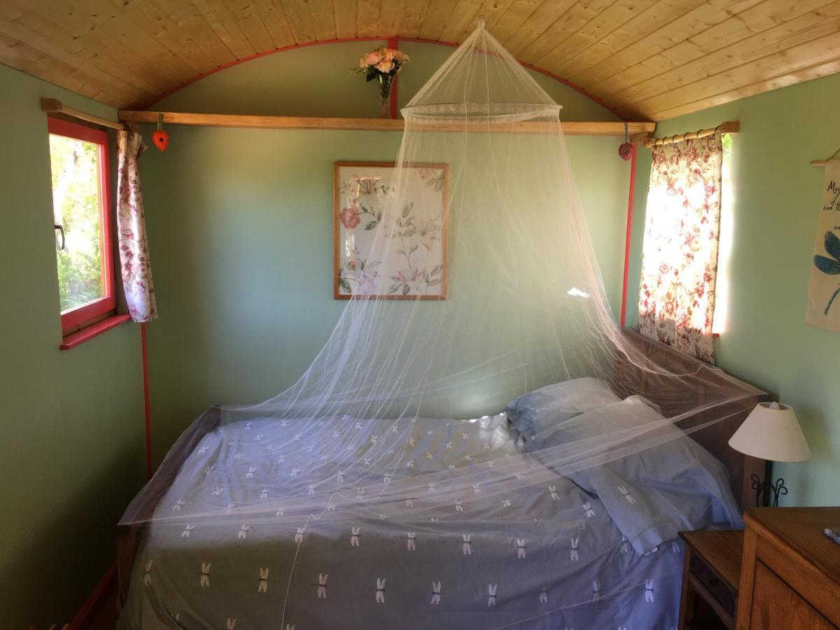 Rosa The Cosy Cabin - Gypsy Wagon - Shepherds Hut, River Views Off-Grid Eco Living Pedrogao Grande Exterior photo