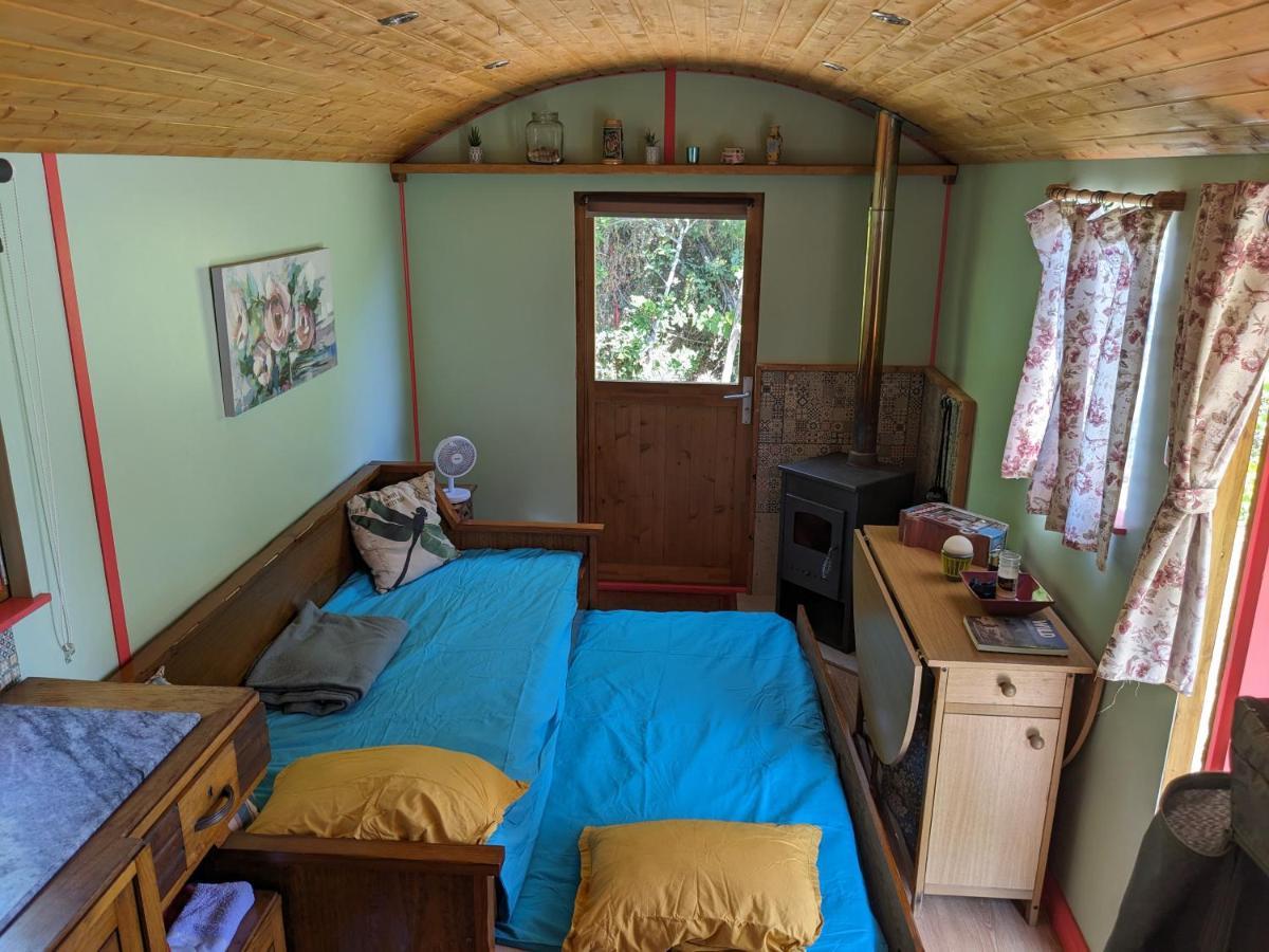 Rosa The Cosy Cabin - Gypsy Wagon - Shepherds Hut, River Views Off-Grid Eco Living Pedrogao Grande Exterior photo